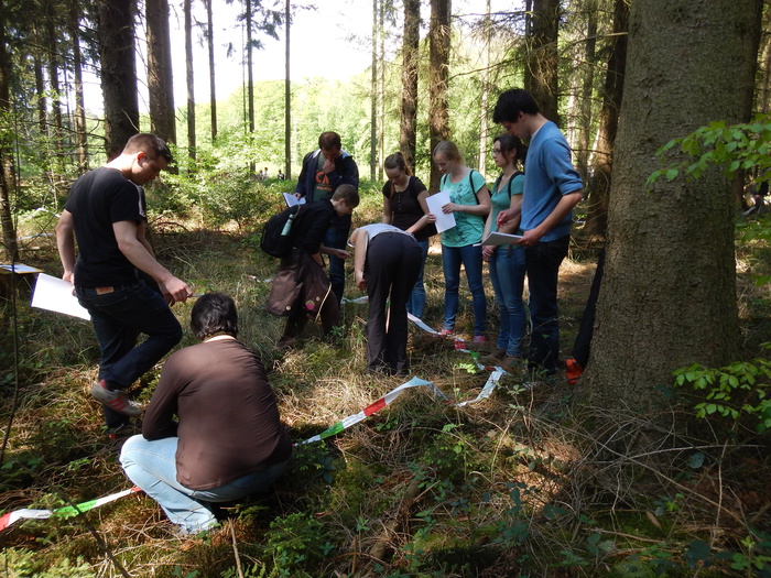 Aus- und For(s)tbildung im Wald