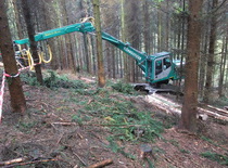 Holzernte mit Harvester