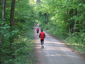 Erholung im Dauerwald Erholung im Dauerwald