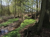 NSG Wehrbachtal&comma; Foto&colon; Guido Sachse